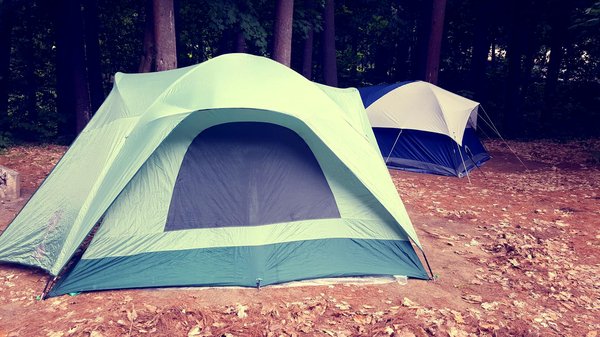 Comment choisir des vêtements adaptés pour un camping en région de forêt tempérée en automne?
